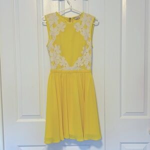 Sunshine ☀️ Yellow Lace and Chiffon Dress